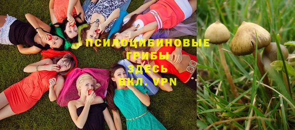 прущая мука Балахна