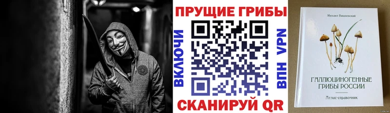 даркнет состав  Вольск  Галлюциногенные грибы Psilocybe 